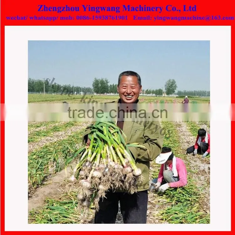 no broken peanut/ garlic/ carrots/ potato harvester machine (0086-15938761901)