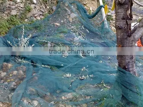 green net for Olive Harvesting