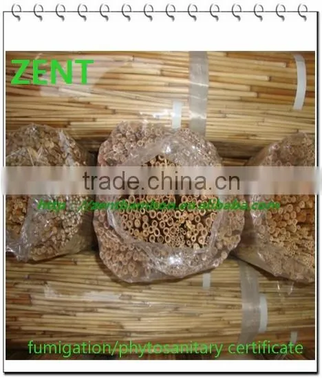 Zent -59 reed pole /bamboo pole
