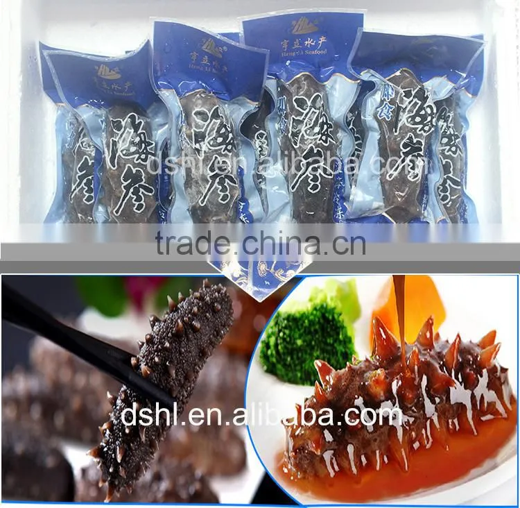 China supplier food salted sea cucumber