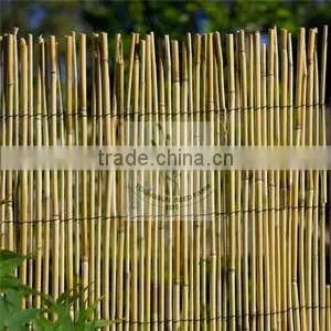 reed fence