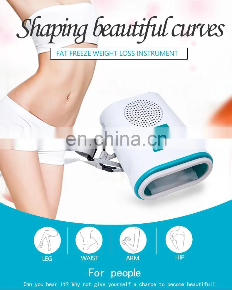 Mini cryolipolysis Frozen weight loss beauty equipment for Home use
