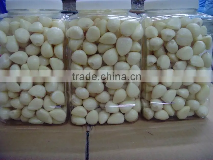 2016 new crop peeled fresh garlic clove