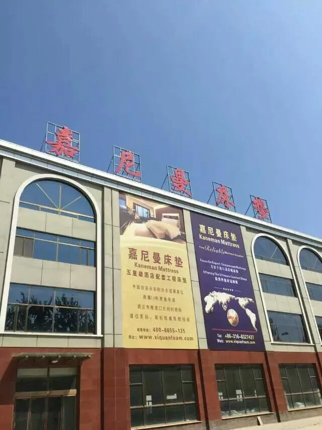 Xianghe Kaneman Furniture Limited company overview - view 1
