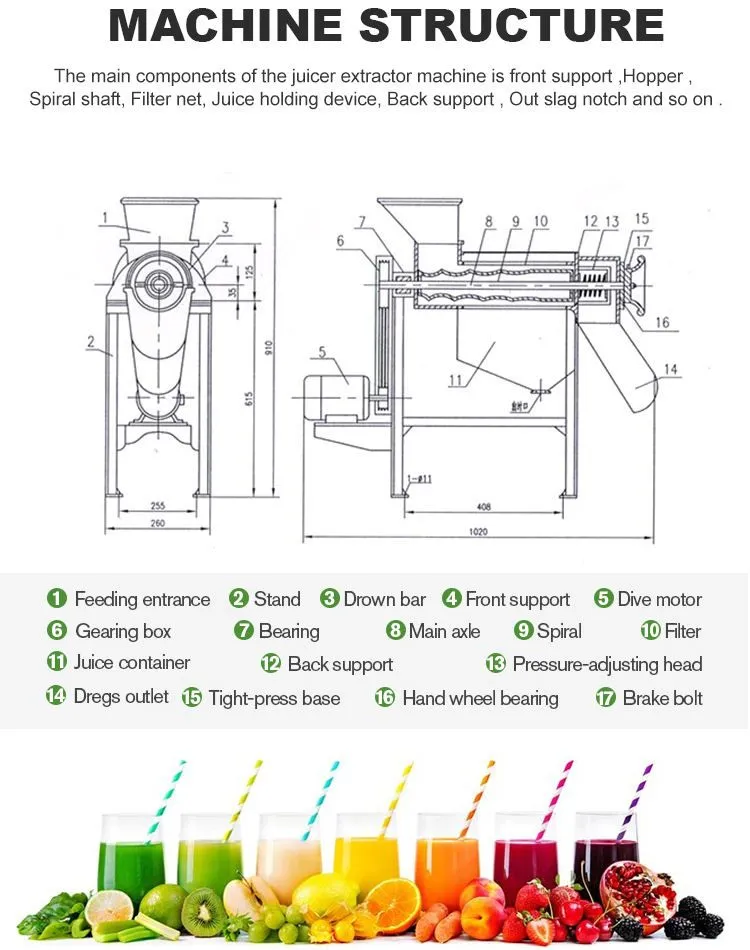Apple Screw Juicer Extractor Machine Cold Press Fruit Mango Juice Extracting Machine