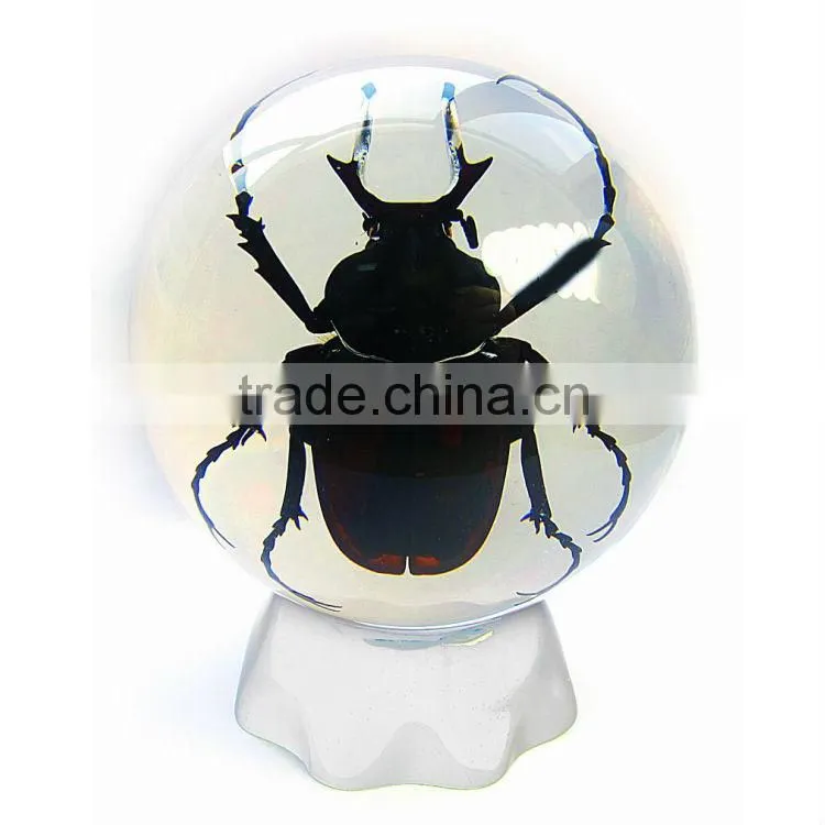 6.0 cm real resin acrylic marble ball with bugs