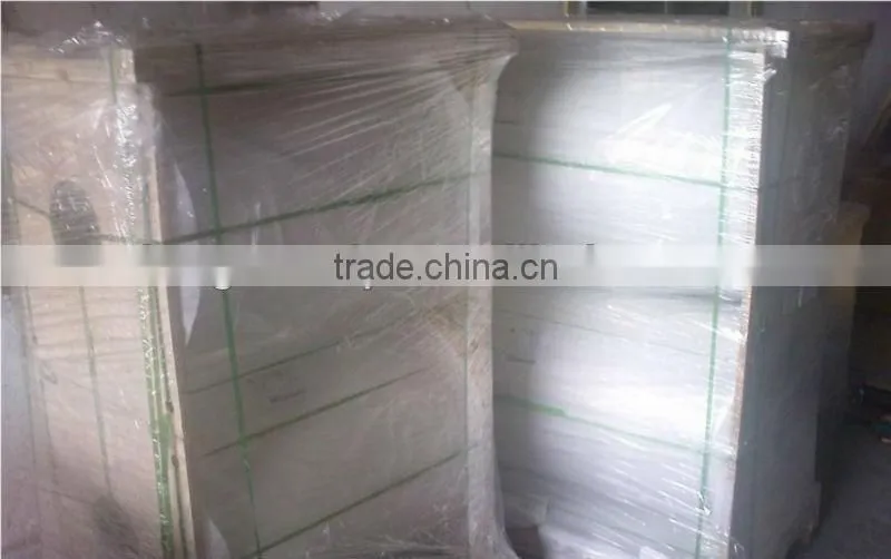 Clear PET sheet roll