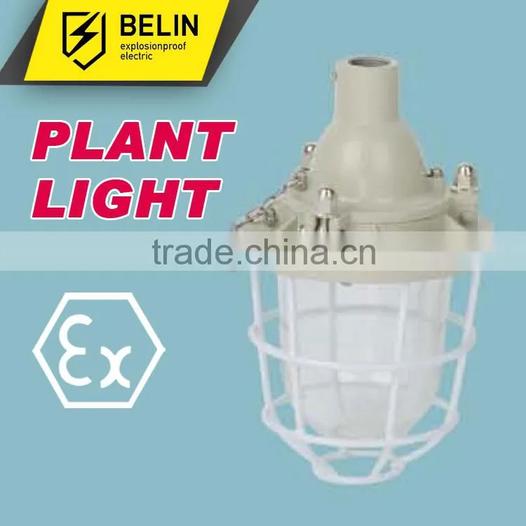 BAD51-100 Flameproof Explosion proof Light