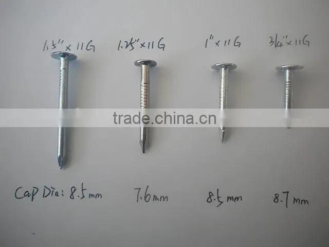 zinc plated clout nail for ceiling factory of linyi shandong
