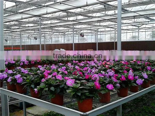 flower greenhouse for sale