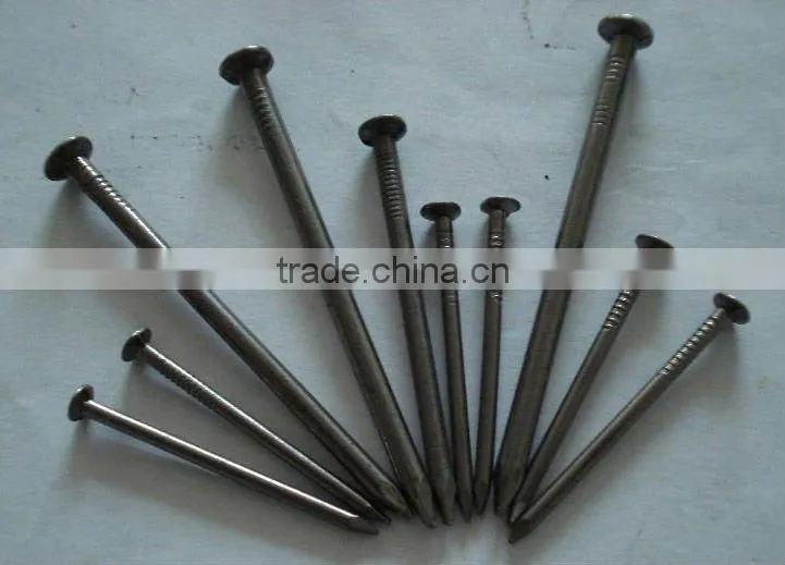 Nails /common nails /iron common nails /polish nails