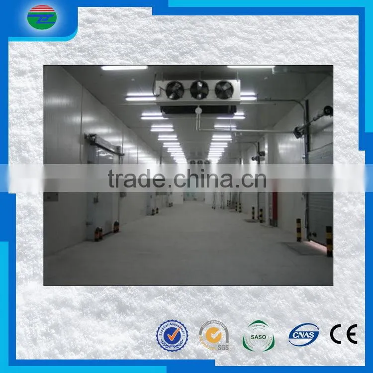 Welcome Wholesales special discount cold storage/cold room for fresh fish meat