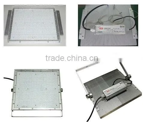 NO.1 energy saving 125lm/w gas station led lighting explosion proof lamp 40w led canopy light for gas station
