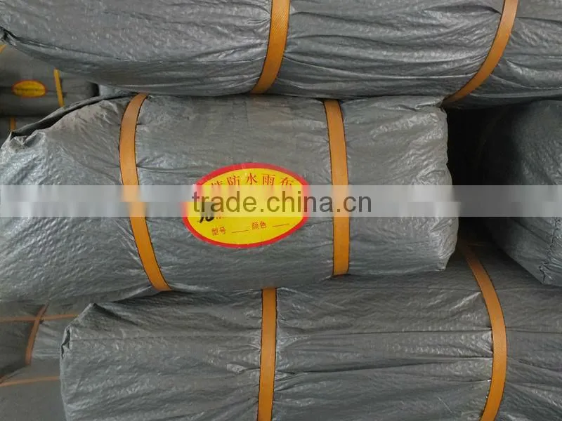Cheap LDPE Tarpaulin Suppliers Waterproof Plastic Double Silver Tarpauline