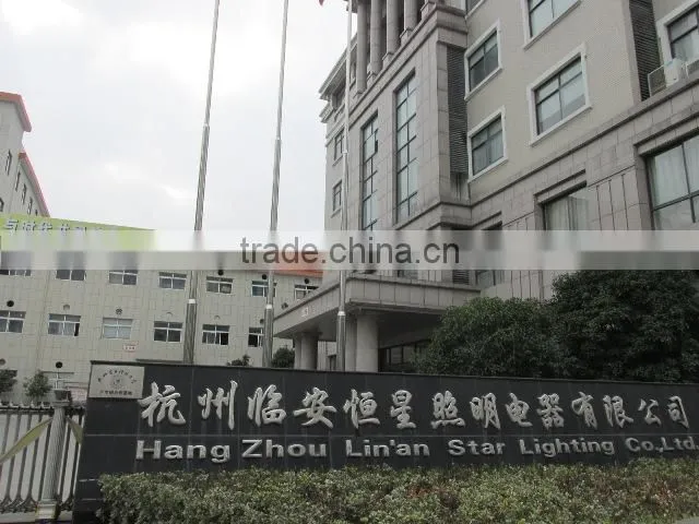 Hangzhou Star Lighting Corp., Ltd. company overview - view 2