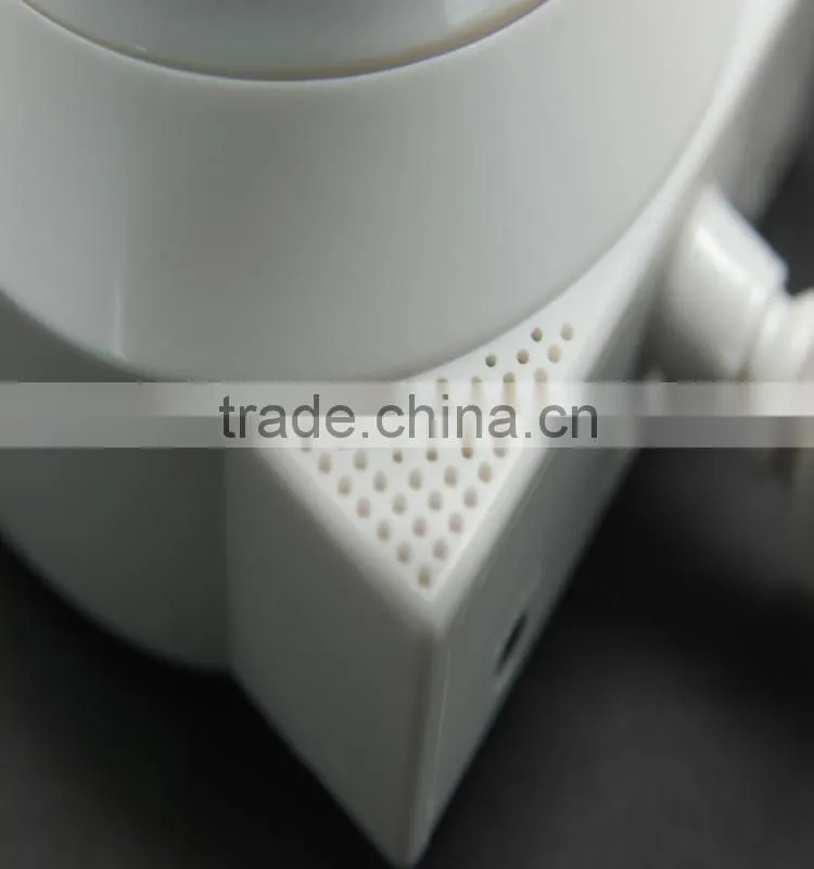 IP camera