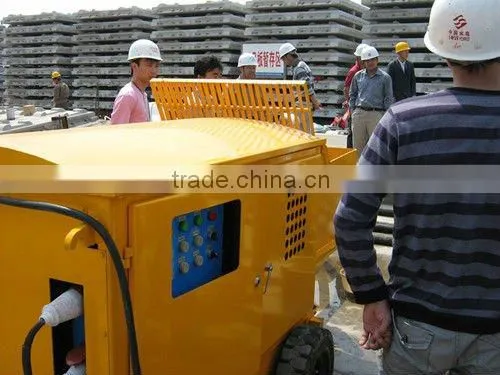 Risen small hydraulic double-piston shotcrete pump