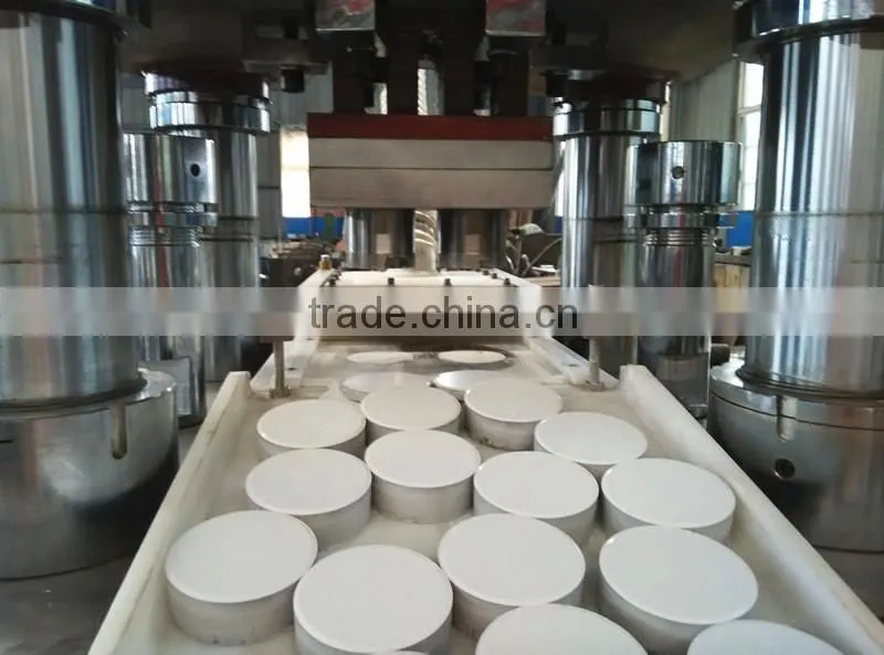 Water cleaning tablets press