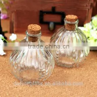clear pumpkin wishing glass bottle,glass plant bottle with wooden cork,stopper