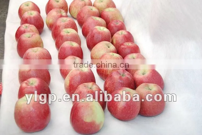 Red star apple