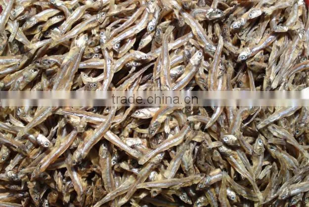 EXPORT BOILED ANCHOVY SPRATS (Email: katherine.vilaconic@, Viber, Whatsapp: +841687264621)