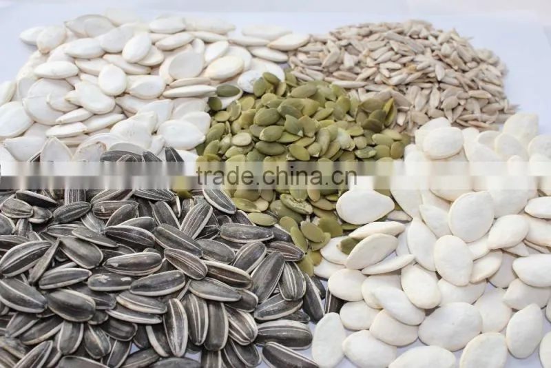 Hot Sale 5009 Big Size Sunflower Seeds