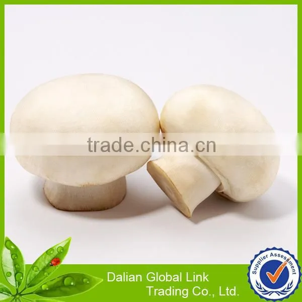 2015 new crop fresh mushroom champignon