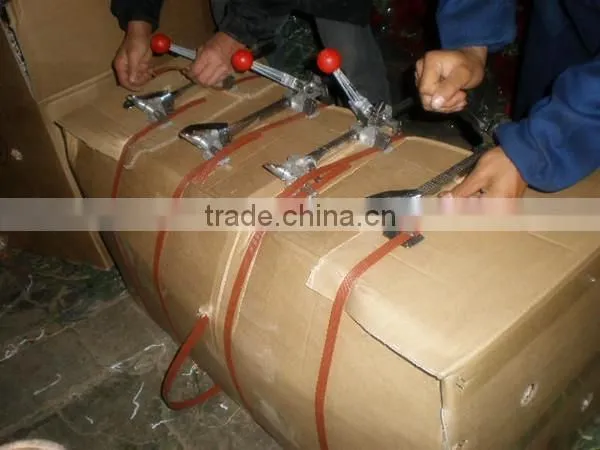 Export China rose of china beauty supply