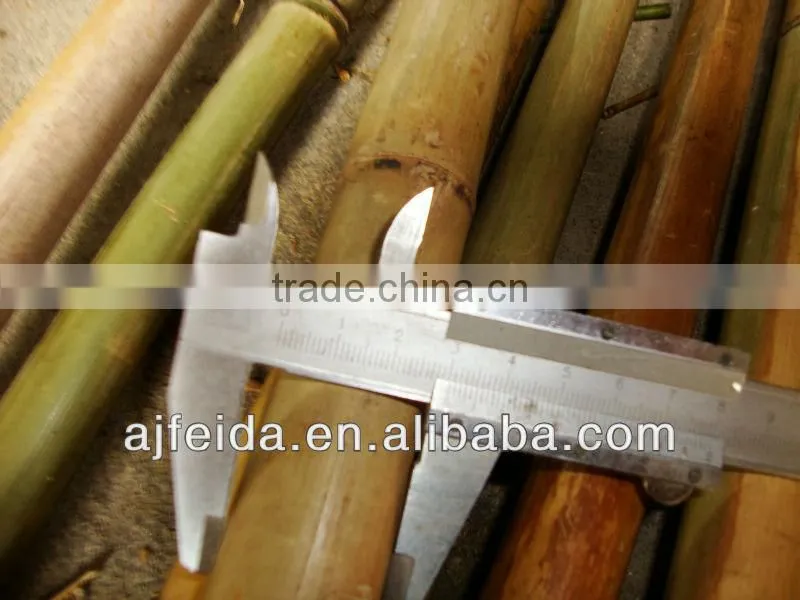 raw bamboo produce &bamboo cane