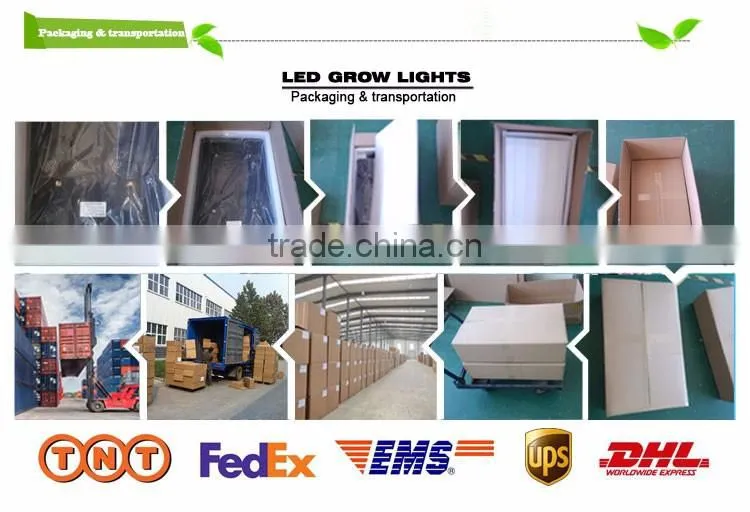 Low Price High Power Led Cob Grow Light 18w From Shenzhen Factory