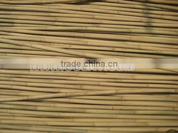Tonkin bamboo canes wholesales
