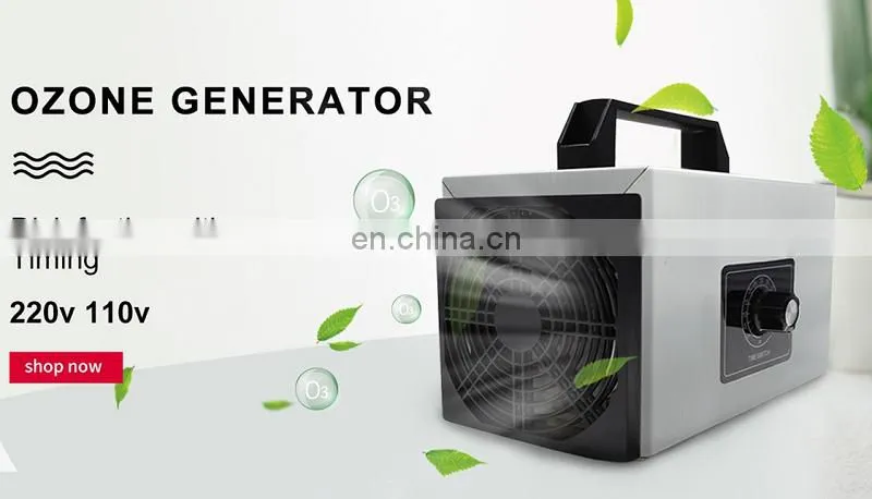 Wholesale Small Home 10g 20g 30g Air Car Portable Ozone Generator