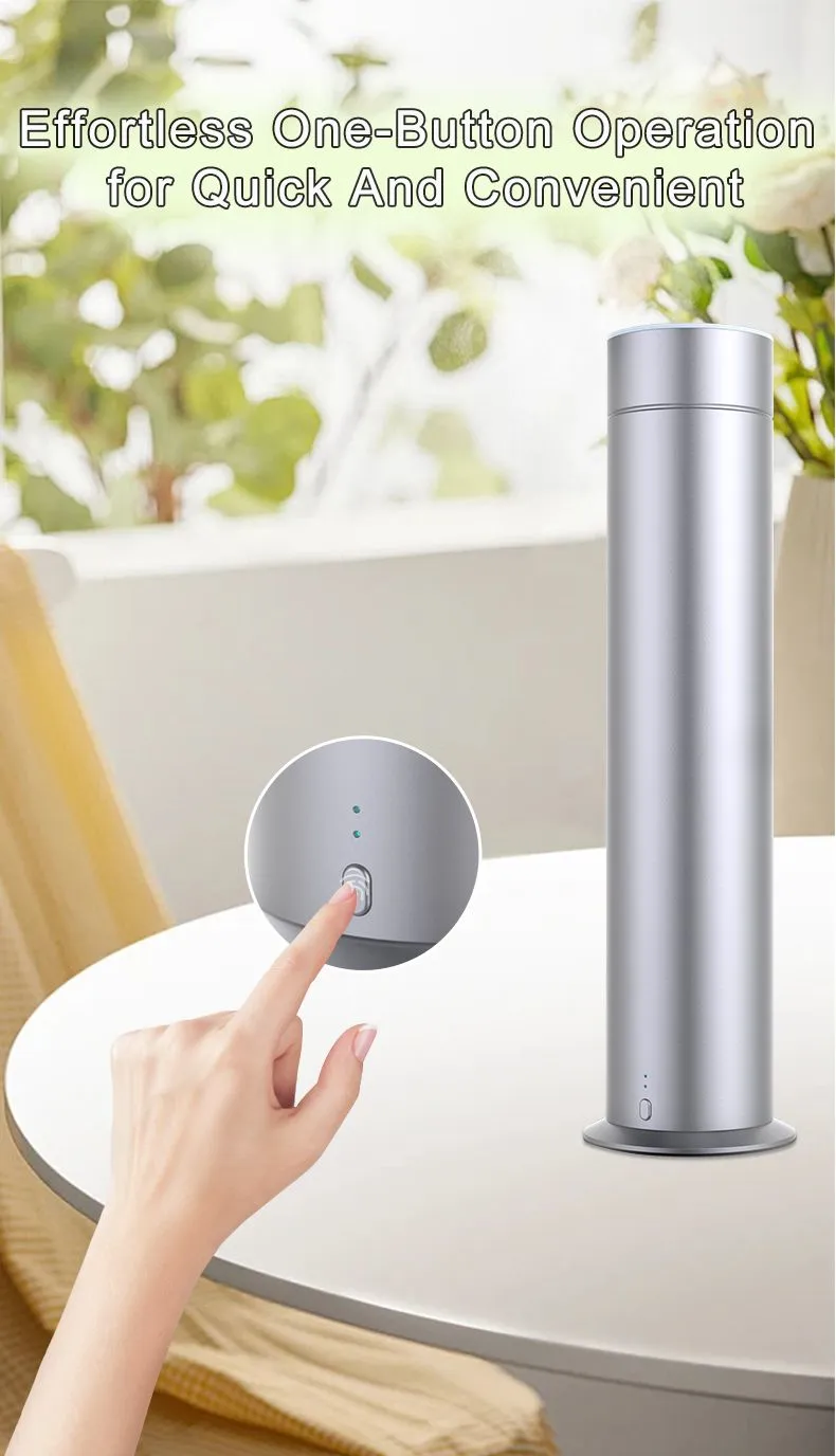 V203D-silver_06.jpg