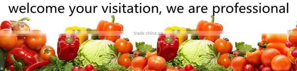 Sugarcane Juice Machine/sugar cane crusher/sugar cane extractor