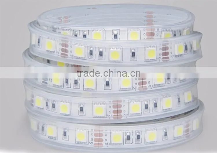 SMD Multi Color 12V 24V Waterproof LED Strip Lights