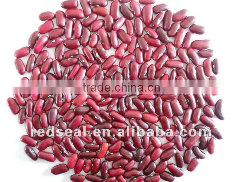 New crop dark red kidney beans