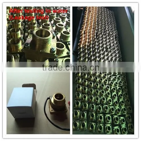 DN20 G3/4" FS-4050 Brass Water Flow Switch
