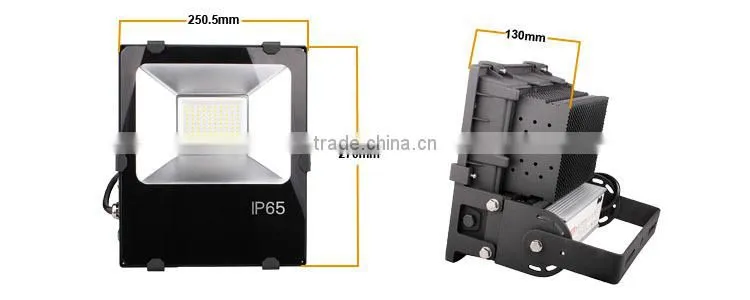 Experienced manufacturer DLC 6 years warranty IP65 50W 100W Led Flood Light