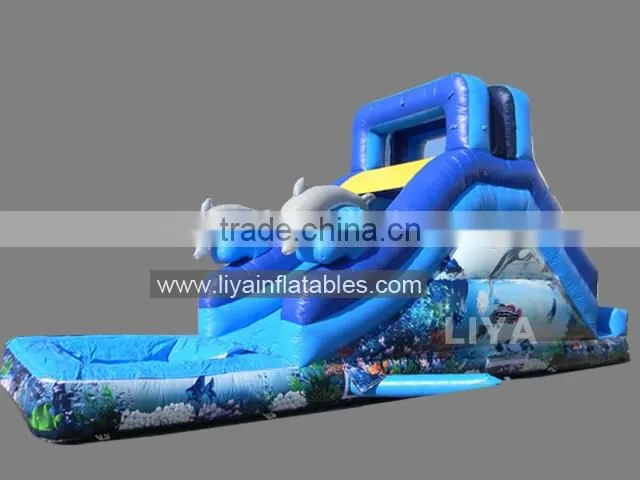 Most Popular Giant Inflatable Water Slide For Adult