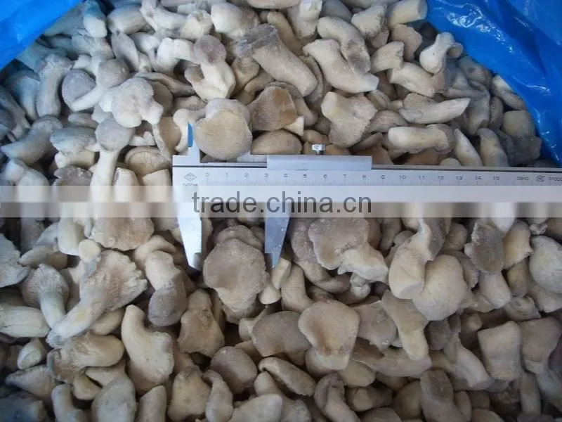 Export IQF Baby Oyster