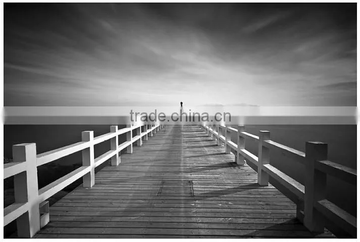 Professional Camera ND2 camera Filter