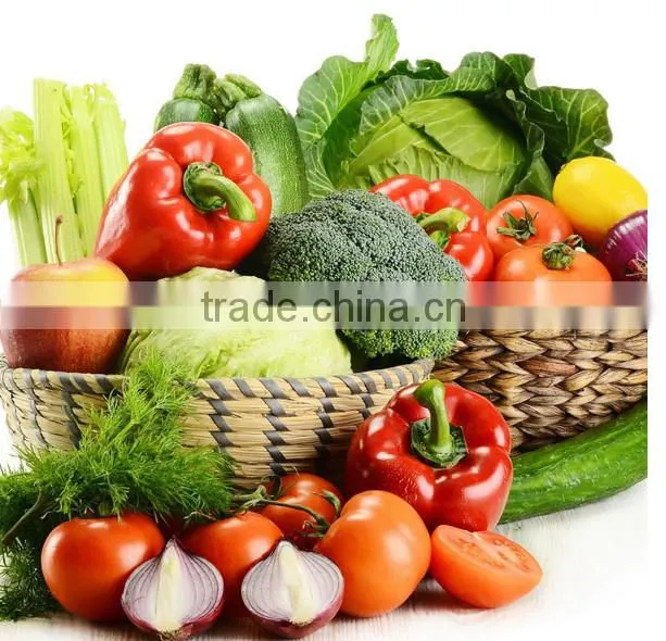 2015 Hot sale automatic vegetable spiral slicer
