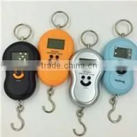 Household use LCD display vegetable food kitchen scale 5000g WH-B05