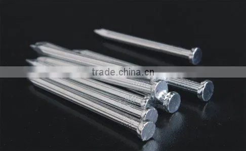 Chinese factory Concrete nails stainless steel phophate or galvanized