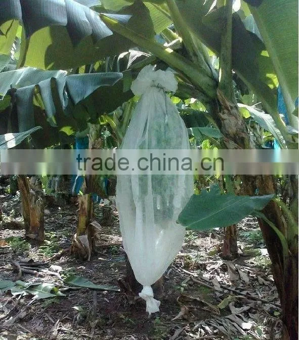pp spunbond nonwoven banana protection cover/ nonwoven plant protective bags/ pp plant protect fabric