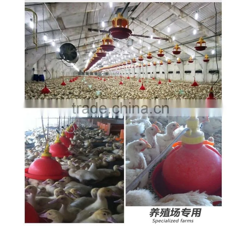 Poultry Automatic Bell Drinker for Poultry Drinking Use