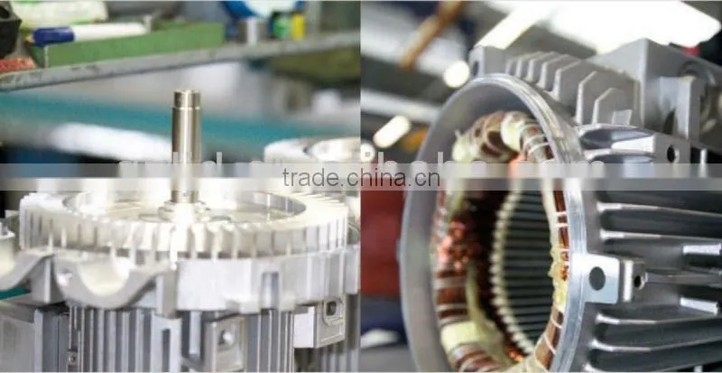 2LV61-H06,rotary ring vacuum pump,oil-free vacuum pump