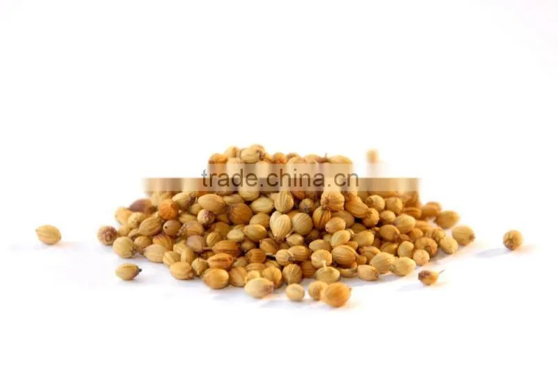 Indian High Grade Fresh Wholesale Dried Coriander Seed