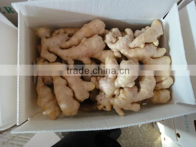 2014fresh air dried ginger