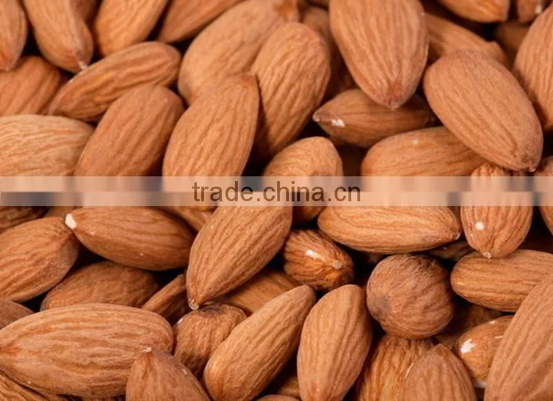 almond machine/almond cracking machine